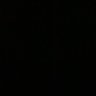Homo Sapiens's profile picture