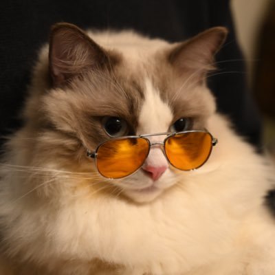chat_rdonnay_ko's profile picture