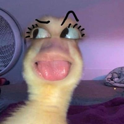 izzy ✈️'s profile picture