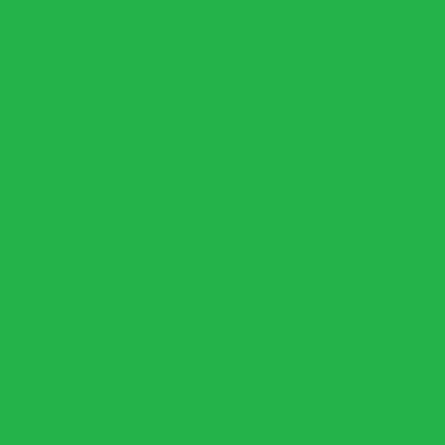CanadianGreens's profile picture