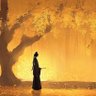 宋屿寒's profile picture