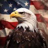 America First 的头像