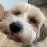 Profilbild von Hooner