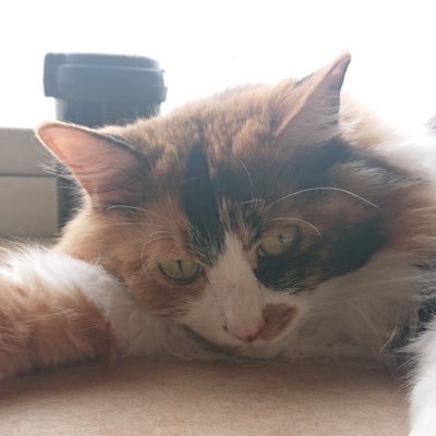 furutasouitirou's profile picture