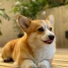 takagi's profile picture
