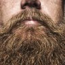 Фото профиля Beardman
