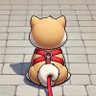 YC WENG's profile picture