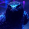 Фото профиля Cryptohawk