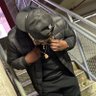 Mr. TrendSetter 🦶🏾🥤 profil fotoğrafı