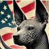 lawndawg's profile picture