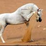 Фото профиля nobody