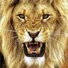 Фото профиля King of the jungle