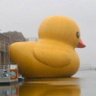 Elduckymex profil fotoğrafı