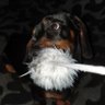 Julia R's profile picture