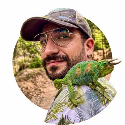 PedramTurkoglu's profile picture