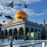 Mohammed Mohammed profil fotoğrafı