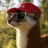 Profilbild von Slippery Weasel
