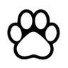 Gatitoenlaluna profil fotoğrafı