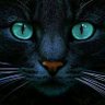 Aitherias profil fotoğrafı
