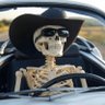 Cabrio Cowboy 的头像