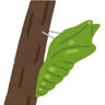 Фото профиля さなぎな