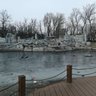 Фото профиля wangfei