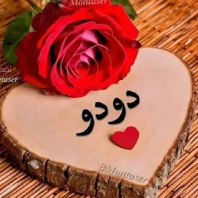 Hu___20's profile picture
