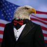 The Archebald Eagle 的头像
