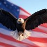 Patriot Logic's profile picture