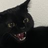 OJ profil fotoğrafı