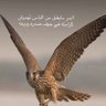 Фото профиля المطيري ٪*
