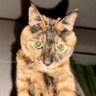 Profilbild von 😺😺ぼんぼん💫🌟