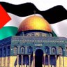 ALI HASSAN's profile picture