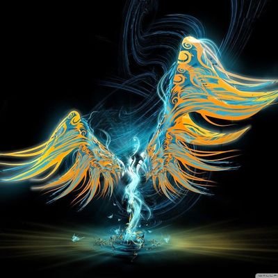 SadafB16's profile picture