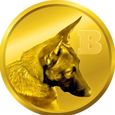 BROCCOLI's profile picture