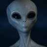 Фото профиля VoxDemosthenes