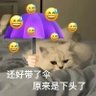 Фото профиля 。