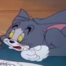 Yapping Tom 的头像