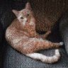 Nathaniel PeteЯ Rentrow's profile picture