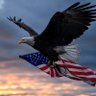 Rutro 🇺🇸 profil fotoğrafı