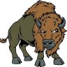 BitterBuffalo's profile picture