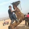 Фото профиля 🇪🇬🇪🇬Amir Yehia🇪🇬🇪🇬