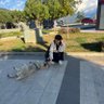 Ala’a Hussein profil fotoğrafı