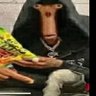 DinoXrainhat's profile picture