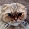 amaebinonnon's profile picture