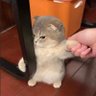hollanov 💖💕 profil fotoğrafı