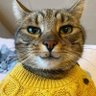K.O.T's profile picture