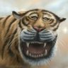 MACAN JOMPO 的头像