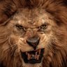 Profilbild von LaKaro