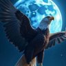 عبدالله ناصر profil fotoğrafı